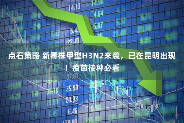 点石策略 新毒株甲型H3N2来袭,已在昆明出现!疫苗接种必看